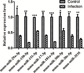 Fig. 8. Verification of miRNAs by qPCR. Eight differentially expressed miRNAs were randomly selected to validate the results of microarray analysis compared with the housekeeping miRNA miR-U6. *P< 0.05 versus Control, **P< 0.01 versus Control, ***P< 0.001 versus Control; n = 3.