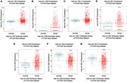 Fig. 8. Expression levels of representative miRNAs in lung adenocarcinoma based on the TCGA database. (A) hsa-mir-192; (B) hsa-mir-1293; (C) hsa-mir-194; (D) hsa-mir-561; (E) hsa-mir-205; (F) hsa-mir-30a; (G) hsa-mir-30c. The normal group and tumor group indicated adjacent non-tumor tissues and lung adenocarcinoma tissues, respectively. ***P&lt; 0.001, ****P&lt; 0.0001.
