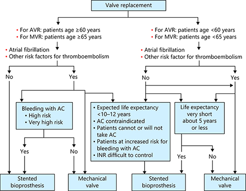 Antithrombotic Therapy after Bioprosthetic Aortic Valve Replacement: A ...