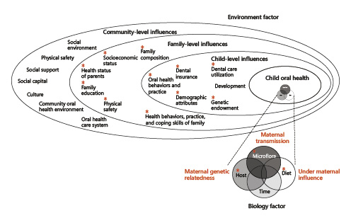  Modified Fisher-Owens conceptual model of child, family, and community influences on oral health outcomes of children. Factors marked with an asterisk (*) are those that could potentially be influenced by maternal attributes. This figure was modified from Keyes [1962] and the National Committee on Vital and Health Statistics [2002].