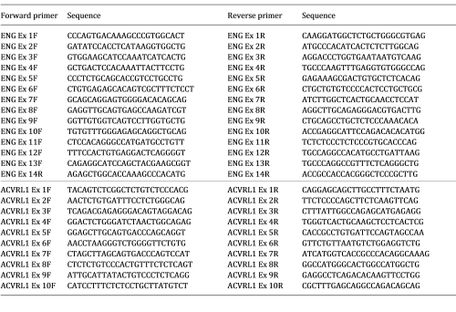 Primers for ENG and ACVRL1 sequencing