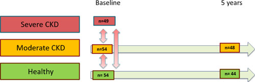 Study design. Fifty-four patients with chronic kidney disease stages 2–3 and 54 healthy controls were included and prospectively followed up during 5 years. Affinity proteomics on 213 selected proteins and physical examination were performed at baseline (red vertical arrow) and after 5 years (green arrow). Patients with CKD stages 4–5 (eGFR <30 mL/min/1.73 m2) served as disease controls, representing patients with advanced CKD or end-stage kidney disease, and were only examined at baseline.