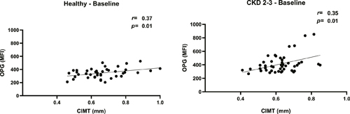 Correlation between OPG and CIMT in patients with CKD 2–3 and healthy controls at baseline using the Spearman’s rank correlation test.