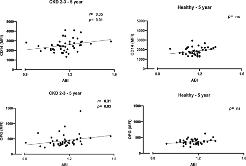 Correlations between CD14 levels, OPG levels, and ABI at 5th year of follow-up in patients and healthy controls using the Spearman´s rank correlation test.