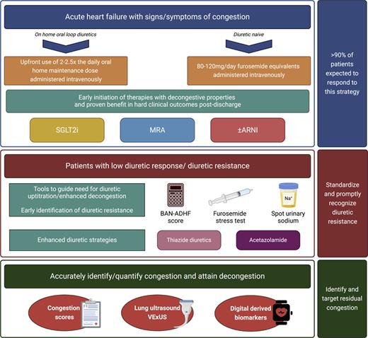 Central illustration – proposed treatment strategies for patients at risk of diuretic resistance presenting with acute heart failure and signs/symptoms of congestion. For patients at risk of diuretic resistance, based on the presence of kidney dysfunction at baseline, upfront use of high-dose intravenous loop diuretics administered as bolus should form the backbone of the decongestive strategy. This approach, together with the use of guideline directed medical therapy known to improve hard clinical outcomes post-discharge, is expected to be efficient in >90% of individuals in this patient population. The use of urinary spot sodium measurements and the validation of the FST could help in identifying patients with low diuretic response and/or diuretic resistance. In those cases, doubling of loop diuretics or enhanced decongestive strategies could be considered to overcome diuretic resistance. The use of congestion scores, ultrasound or digital derived biomarkers could assist clinicians in identifying residual congestion and properly attaining decongestion pre-discharge. ARNI, angiotensin receptor neprilysin inhibitor; MRA, mineralocorticoid receptor antagonists; SGLT2i, sodium-glucose co-transporter 2 inhibitors; VExUS, venous extended ultrasound.