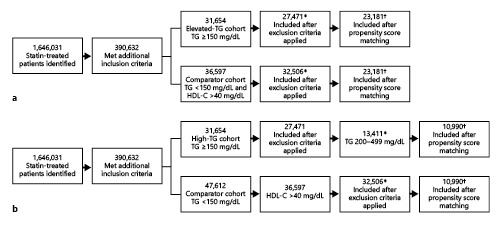 Fig. 1. Patient disposition. a Elevated TG cohort and comparator. b High-TG cohort and comparator. *Population used for multivariate analyses. †Population used for patient characteristics and other analyses. HDL-C, high-density lipoprotein cholesterol; TG, triglycerides [23, 24].