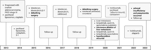 Chronology of the patient’s medical history.
