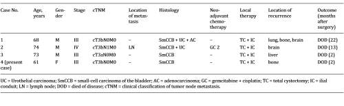 Characteristics of the patients with small-cell carcinoma of the bladder at our institution