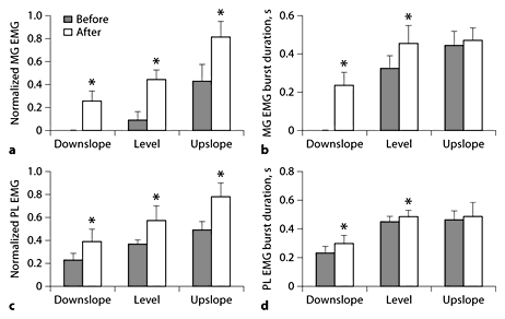 Fig. 3. Normalized mean EMG magnitude and burst duration of MG and PL before and 1–3 weeks after denervation of SO and LG muscles during level and slope walking. Mean burst EMG values were normalized to the maximum mean burst EMG found in each cat across all experimental conditions. * p < 0.05; significant differences between pre- and postconditions or between postvalues and zero (for MG, mean EMG during downslope condition in which no consistent bursts could be identified). MG data were obtained from 5 cats; numbers of analyzed cycles for downslope, level and upslope conditions before denervation are 0, 30 and 47, and after denervation 71, 113 and 63. PL data were obtained from 2 cats; the corresponding numbers of analyzed cycles are 21, 29 and 20, and 33, 53 and 24.