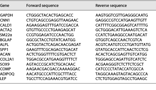  List of genes and corresponding forward and reverse primer sequences used in qPCR amplification