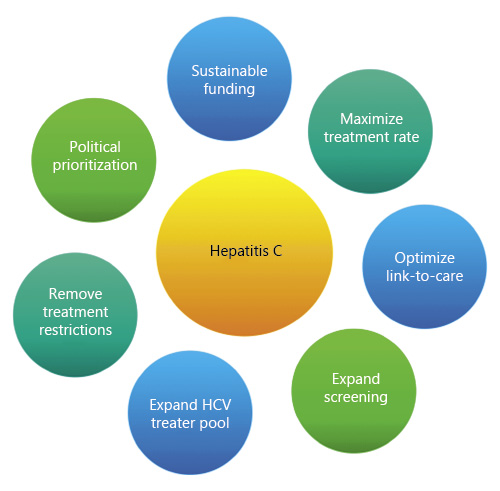 Fig. 2. Hepatitis C elimination challenges. HCV, hepatitis C virus.