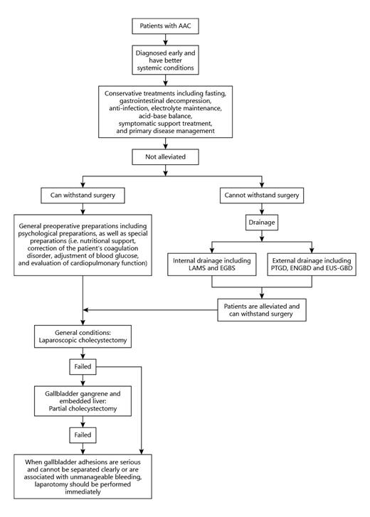 Advances in the Study of Acute Acalculous Cholecystitis: A ...