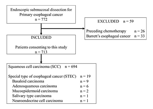 Study flowchart showing the 713 patients who consented to the study divided between the STEC group (n= 19) and SCC group (n= 694).