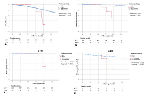  Kaplan-Meier survival curves for the special type of esophageal cancer (STEC) and squamous cell carcinoma (SCC) groups. Total study population. a Overall survival. b DSS. DSS for the subgroup of patients with pT1a and pT1b diseases. c pT1a. d pT1b.