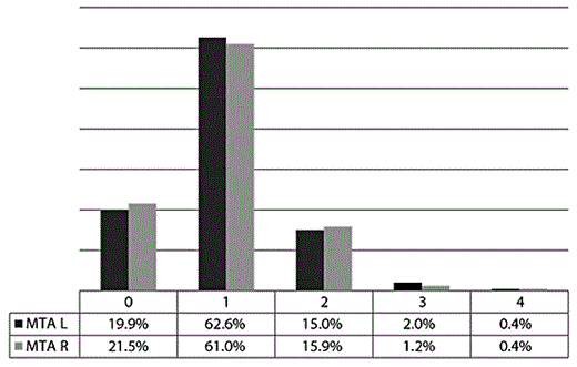 Fig. 1. Blinded MTA staging for the SCI group; left (L) and right (R) MTA.
