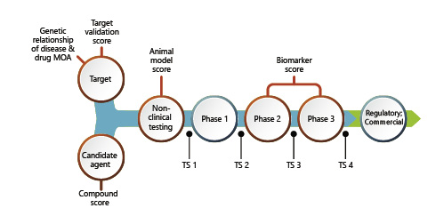 Fig. 2. Comprehensive semiquantitative assessment of the translational scoring approach to drug development (supplied by M. de la Flor, PhD, illustrator). MOA, mechanism of action.