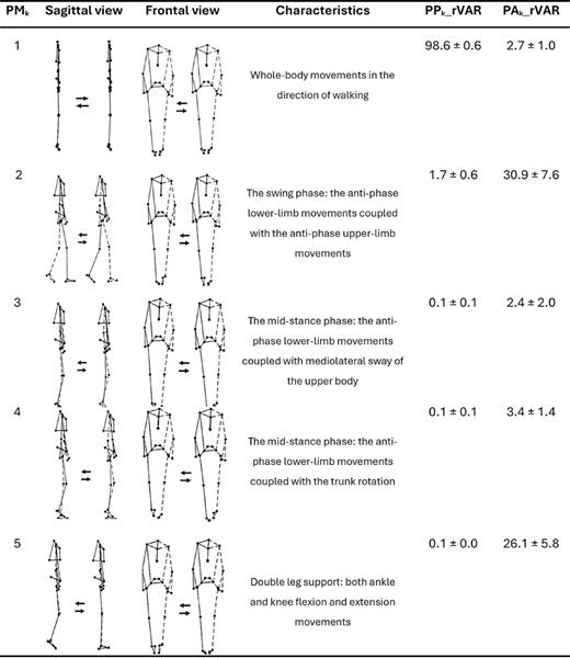 Descriptive characteristics and eigenvalues (%) of the first five principal movements (PM1–5) derived from pooled on- and off-medication trials. k denotes the order of movement components. Dashed line represents the right side. More distinct movements can be observed in the animated stick figures provided in online supplementary Video S1.