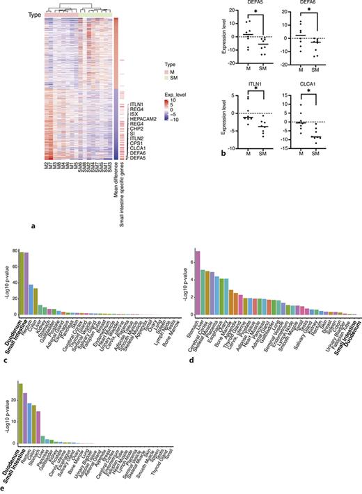 Microarray analysis of small intestine-specific genes shows their downregulation during early submucosal-invasive gastric cancer. a Heatmap of differentially expressed genes (DEGs) between intramucosal gastric cancer (IMGC) and early submucosal-invasive gastric cancer (SMGC). M1–8 indicates IMGCs, and SM1–8 indicates SMGCs. Rows of the heatmap correspond to genes and the columns correspond to cases. The names of most downregulated small intestine-specific genes are annotated. b The expression levels of DEFA5, DEFA6, ITLN1, and CLCA1. M and SM indicate IMGC and SMGC, respectively. Each dot represents the expression level of the corresponding case. The horizontal bar represents mean expression value. *p < 0.05. c Enrichment analysis of tissue-specific genes in DEGs was performed using TissueEnrich. Small intestine-specific genes and duodenum-specific genes were highly enriched in the 500 downregulated genes in SMGCs. d Enrichment analysis of tissue-specific genes in DEGs was performed using TissueEnrich. Small intestine-specific genes and duodenum-specific genes were not enriched in the 500 upregulated genes in SMGCs. e Enrichment analysis of tissue-specific genes performed using TissueEnrich using the previously reported gene set that contains genes downregulated in advanced gastric cancer compared to those in EGC. Small intestine-specific genes and duodenum-specific genes were highly enriched in the gene set.
