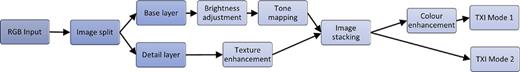 Image processing for Texture and Colour Enhancement Imaging (TXI) [15].