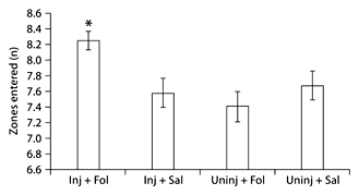 Zones entered in open-field testing. On day 1 of testing, injured animals that received folic acid entered significantly more zones than all other groups. * p < 0.05.