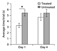 Beam testing. Treated animals completed the beam test quicker than the untreated animals on day 1. This difference was not seen on day 4. * p < 0.05.