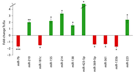 Fig. 2. miRNAs differentially expressed in Ts65Dn hippocampus with fold-change for the 11 best findings in terms of statistical significance. Upregulation of miRNAs in Ts65Dn is represented by green bars and downregulation by red bars. Broken lines in bar for miR-423-5p indicate that this miRNA was detected in Ts65Dn but not in the control euploid hippocampus. The error bars represent the mean ± SEM utilizing 8 euploid and 7 trisomy mice samples. * p < 0.05, ** p < 0.01, *** p < 0.005.