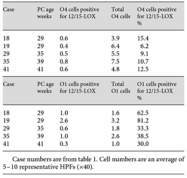 12/15-LOX double-label data for O4- and O1-positive cells in PVL