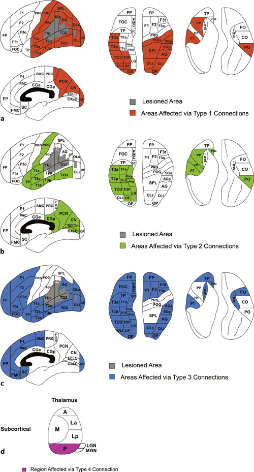 A Proposed Human Structural Brain Connectivity Matrix in the Center for ...