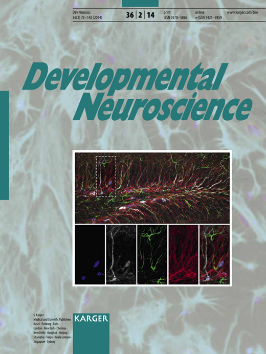 Developmental Neuroscience Cover Image for Volume 36, Issue 2