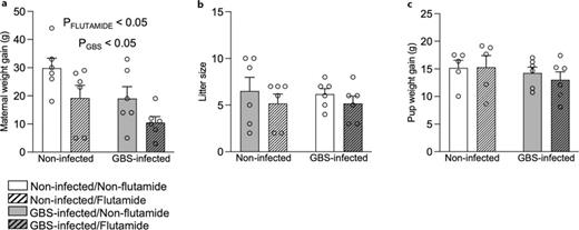 Physiological parameters of dams and pups. a Mean weight gain of dams from gestation day (G)19 to G22. b Mean number of live pups per litter. c Mean male pup weight gain from postnatal day (P)1 to P9. Number (n) of rats: V/S (n = 5), V/GBS (n = 6), F/S (n = 6), F/GBS (n = 6). Error bars indicate mean ± SEM. *p ≤ 0.05; Bonferroni’s post hoc tests. V/GBS, vehicle/GBS; V/S, vehicle/saline; F/S, flutamide/saline; F/GBS, flutamide/GBS; GBS, Group B Streptococcus.