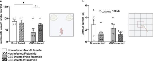 Sensory integration and spontaneous locomotion assessments of male offspring during prepuberty. a Success rate (%) to reach familiar odor in the nest-seeking test on postnatal day (P)9. b Distance traveled (m) in the open-field test on P20. Number (n) of rats: V/S (n = 4–5), V/GBS (n = 5–6), F/S (n = 4–6), F/GBS (n = 5–6). Error bars indicate mean ± SEM. *p ≤ 0.05; Bonferroni’s post hoc tests. V/GBS, vehicle/GBS; C/S, vehicle/saline; F/S, flutamide/saline; F/GBS, flutamide/GBS; GBS, Group B Streptococcus. Created using BioRender.com.