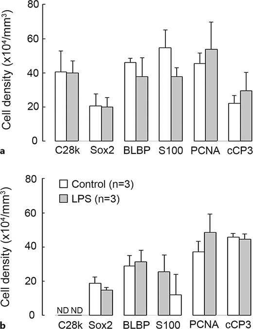 Bar graphs depicting the densities of cells immunostained for various marker antigens in dorsal hippocampus of LPS-exposed and control ferrets on postnatal day 7. a Granular/subgranular layers (GL/SGL). b Hilus. C28k, calbindin D28k; cCP3, cleaved caspase 3. Data are shown as means ± standard deviations.