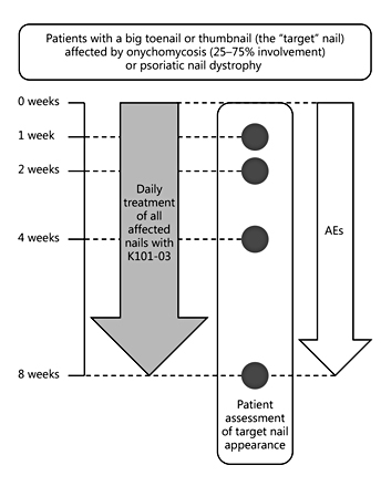 Fig. 1. Flowchart of the Patients and Methods.