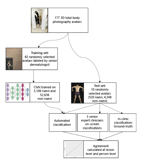  Workflow from imaging to the automated naevus counts.