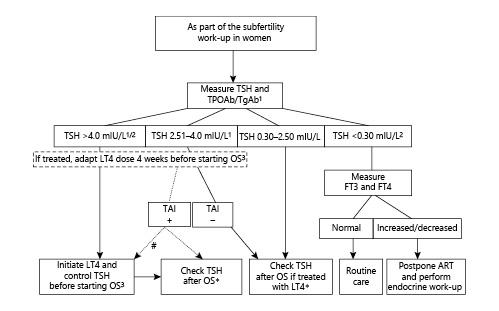  Algorithm for workup and management of thyroid disorders in women of subfertile couples starting an ART procedure. 1If not possible for local terms, then measure TgAb in case TSH >2.5 mIU/L and negative TPOAb/look for sonographic criteria of TAI if available. 2Or above/below the reference range of the assay for non-pregnant women or institutional population-specific values. 3LT4 dose depending on baseline TSH level and body weight; start 25 μg when TSH 2.51–4.0 mIU/L → target TSH <2.5 mIU/L. #Decide to treat on a case-by-case basis (cf text for details). *In case of pregnancy, the day of the second/confirmatory hCG measurement. TAI, thyroid autoimmunity; TgAb, thyroglobulin antibodies; TPOAb, thyroid peroxidase antibodies; LT4, levothyroxine; hCG, human chorionic gonadotropin; OS, ovarian stimulation; ART, assisted reproductive technology. The figure is reproduced from Unuane and Poppe (Female infertility: do we forget the thyroid? J Endocrinol Invest. 2015) with permission from Springer.