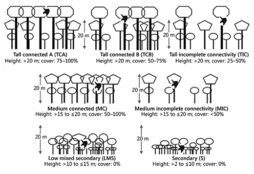 A stylised drawing of the 7 habitat classes used. Cover refers to cover at 20 m and above.