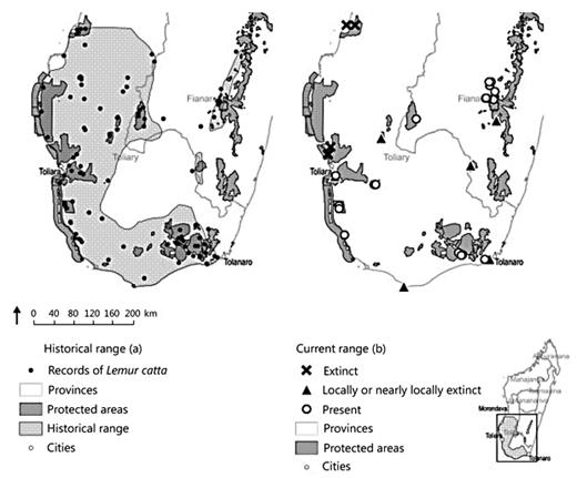 Fig. 1. Historical range (a) and estimated current range (b) for L. catta, including areas where populations are present, locally extinct, or likely or nearly locally extinct. a Data are from Goodman et al. [2006] and Andriaholinirina et al. [2014]. b References are available from Table 1.