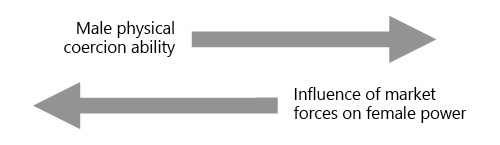 Female Power: A New Framework for Understanding “Female Dominance” in ...