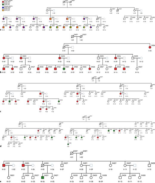 a–e Five family pedigrees showing cosegregation with p.G545A. Symbols: squares are males, and circles are females. Red fill have the p.G545A mutation; green is for the normal gene (wild type), and clear is “no PCR performed.” CKD stages 1–5 shown as superscript. CKD 0 means information available but no evidence of CKD. CKD ? means no information available. CKD+ means known to have CKD but no clinical information extant. Diagonal line through symbol means premature death. Family 1(a) also shows cosegregation with the p.G877R variant. Red fill or red half-fill indicates the G545A mutation, green indicates the normal gene (wild type), and clear is “no PCR performed”. The G877R mutation is shown in blue half-filled symbols; the wild type is shown in yellow.