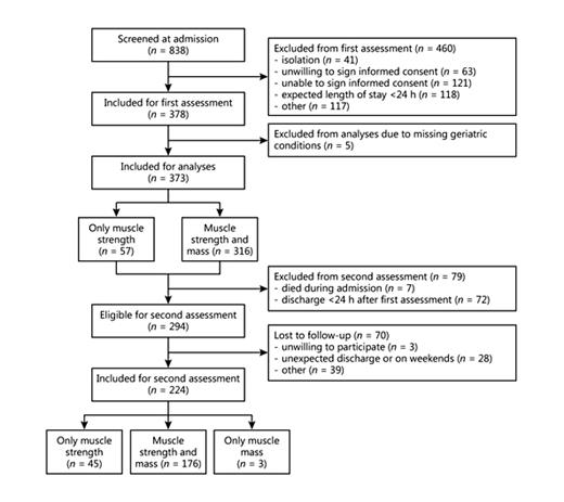 Fig. 1. Flowchart, number of patients included for each assessment.