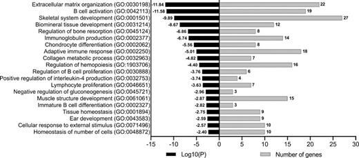 Top 20 significantly enriched GO terms in the biological processes for DEGs between 10- and 50-week-old mice. The most significantly enriched GO term was “extracellular matrix organization” with 22 genes.