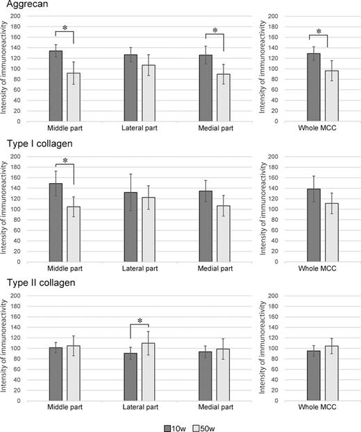 Results of semi-quantitative immunohistochemistry for aggrecan, type I collagen, and type II collagen in the middle, medial, and lateral parts of the MCC and in the whole MCC of 10- and 50-week-old mice. The Shapiro-Wilk normality test and Student’s t test were performed to compare the intensity of immunoreactivity between the young and the aged (n = 5, p < 0.05).