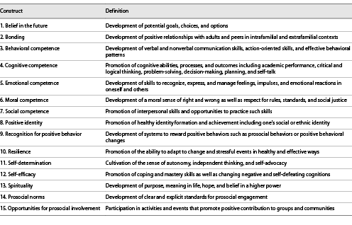 Toward an Integrative Paradigm of Positive Youth Development ...
