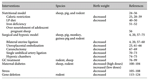Experimental models of fetal growth restriction