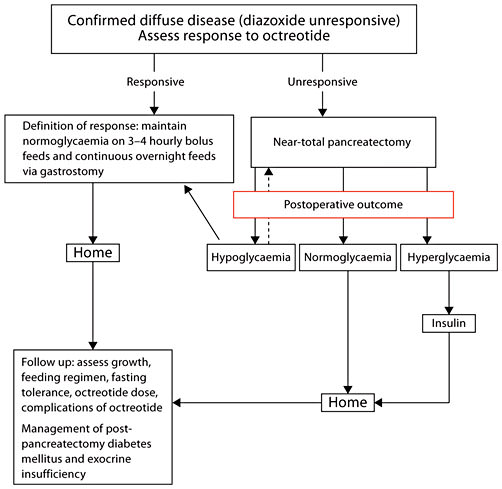 Fig. 5. Outline of the long-term medical and surgical management of patients with diazoxide-unresponsive CHI. The broken arrow indicates that some patients may require a total pancreatectomy to control the most severe forms of CHI.