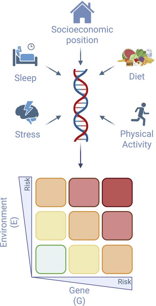 Visualization of gene-environment interaction (GxE) in obesity. Different environmental factors are shown: SEP, stress, sleep, diet, PA. The color-coded grid demonstrates how different combinations of genetic and environmental factors lead to varying levels of overall risk.