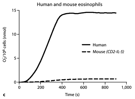 Fig. 2. Inducible release of O2– by CD2-IL-5/rac2–/– eosinophils is diminished in comparison with wild-type eosinophils. a Time course of PMA-induced O2– release in splenocytes from CD2- IL-5 and CD2-IL-5/rac2–/– mice (500 ng/ml PMA; n = 9– 10). b PMA-induced O2– release from purified wild-type and CD2-IL-5/rac2–/– eosinophils. c Release of O2– from human and mouse eosinophils in response to PMA (500 ng/ml). d O2– generated from neutrophils from wild-type C57Bl/6 mice compared with rac2–/– mice. b–d n = 3–4. ** p < 0.01, *** p < 0.001.