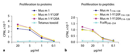 Proliferation of Mus m 1 specific T cell clone TCC-34. Proliferation was measured as 3H-TdR incorporation and expressed as cpm (on the y-axis). Antigens (a) and peptides (b) were used for stimulation at concentrations shown on the x-axis, as indicated in the legends.