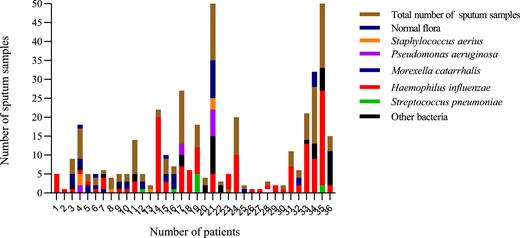 Comprehensive analysis of sputum culture results for all patients.