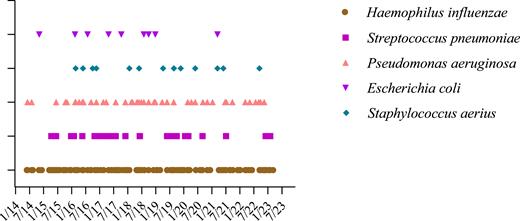 A pooled analysis of the sputum cultivation results of the patients with IEI during the studied time frame. The timeline display shows the patterns of bacterial isolates identified in sputum cultures as a function of time.